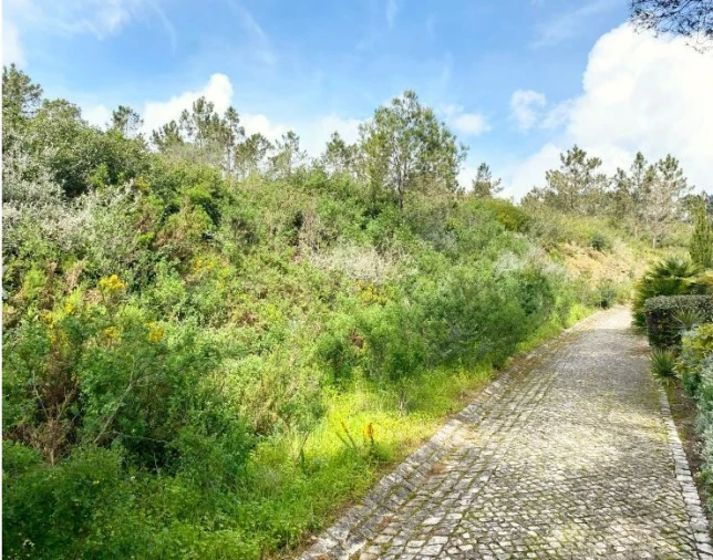 Terreno para Venda em Queluz e Belas Foto 7