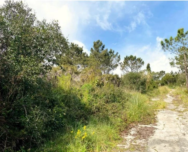 Terreno para Venda em Queluz e Belas Foto 9