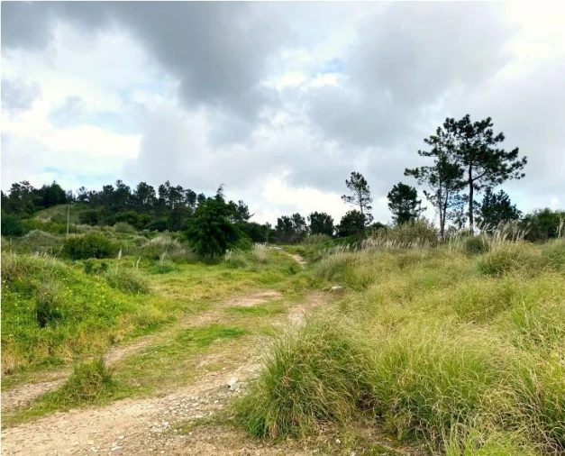 Terreno para Venda em Queluz e Belas Foto 16