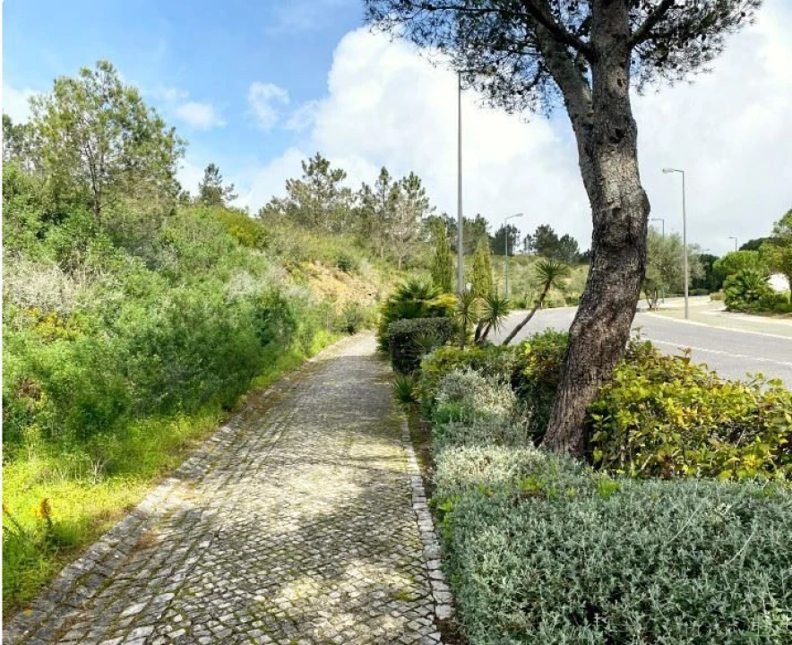 Terreno para Venda em Queluz e Belas Foto 8