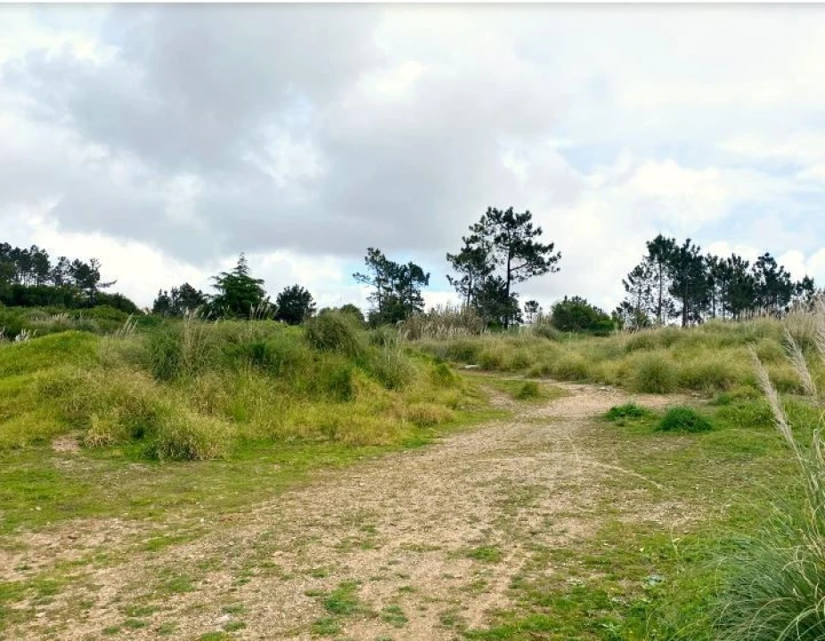 Terreno para Venda em Queluz e Belas Foto 14