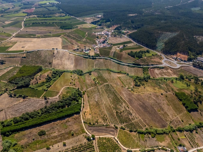 Terreno para Venda em Vila Verde dos Francos Foto 8