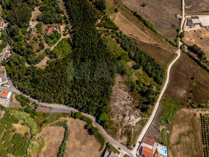 Terreno para Venda em Vila Verde dos Francos Foto 11
