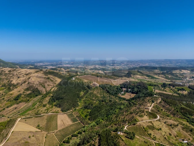 Terreno para Venda em Vila Verde dos Francos Foto 10