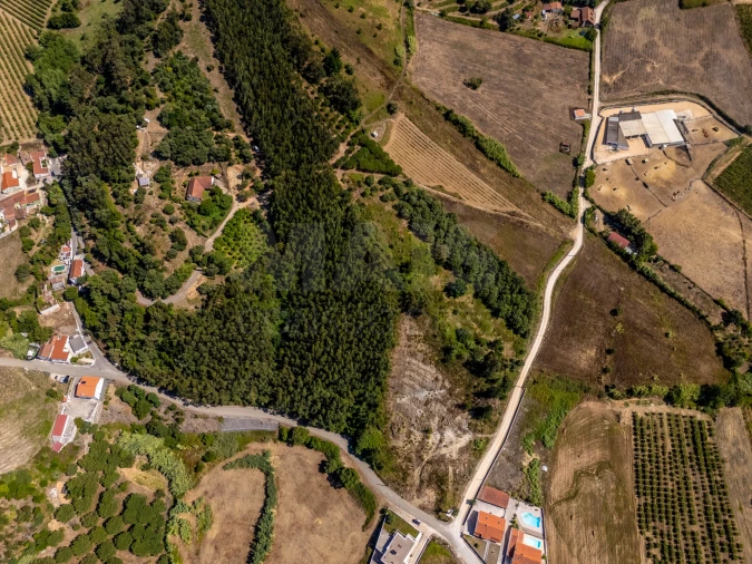 Terreno para Venda em Vila Verde dos Francos Foto 3