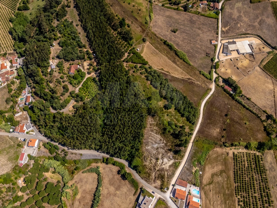 Terreno para Venda em Vila Verde dos Francos Foto 2