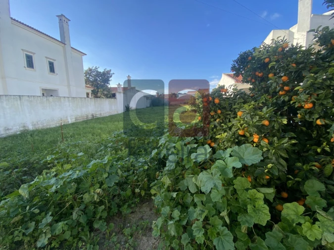 Terreno para Venda em Almeirim Foto 5