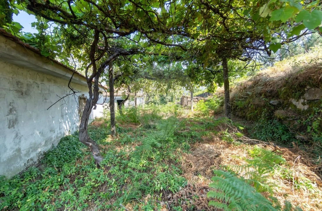 Moradia T3 para Venda em Cepelos Foto 11