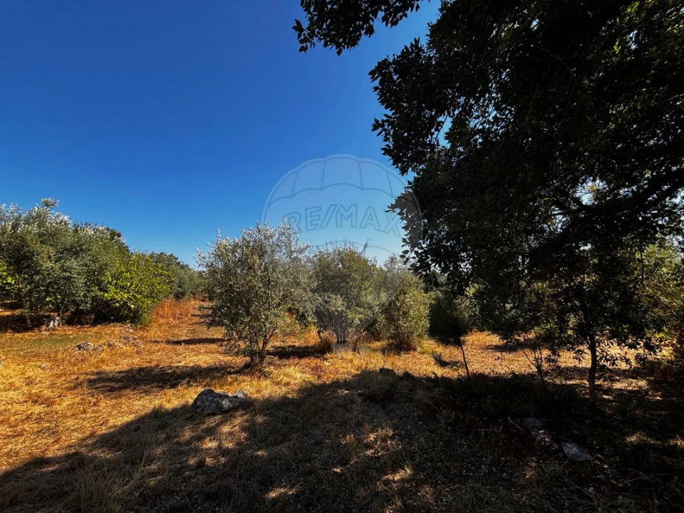 Moradia T2 para Venda em Sabacheira Foto 3