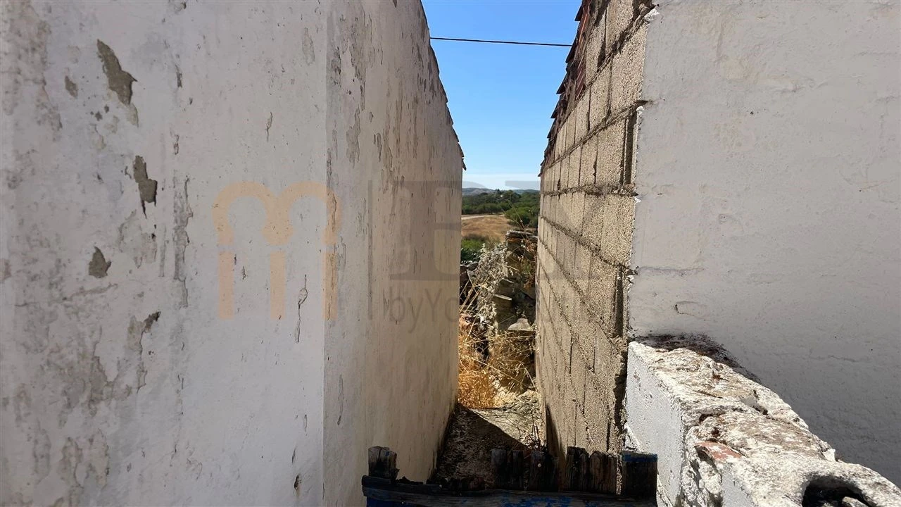 Quinta para Venda em São Miguel do Pinheiro, São Pedro de Solis, São Sebastião dos Carros Foto 17
