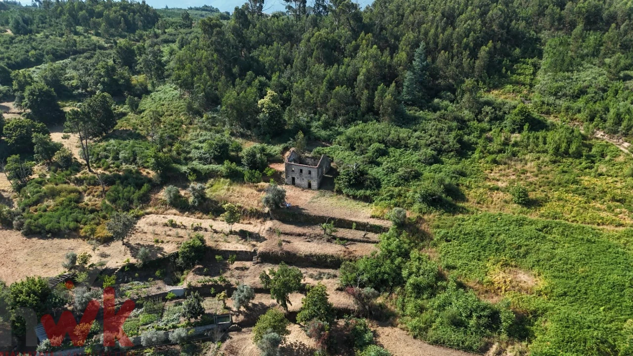 Moradia para Venda em Nogueira do Cravo Foto 22