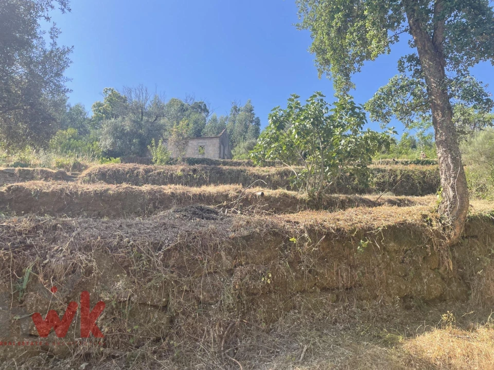 Moradia para Venda em Nogueira do Cravo Foto 28