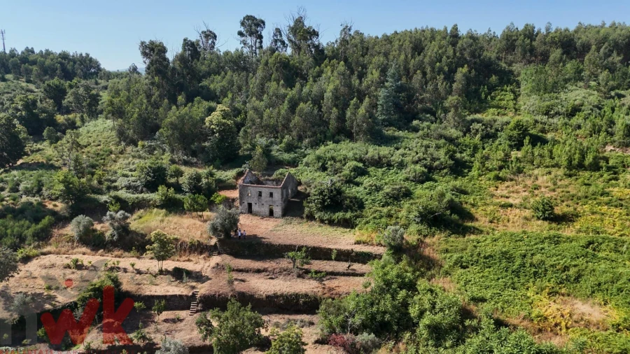 Moradia para Venda em Nogueira do Cravo Foto 19