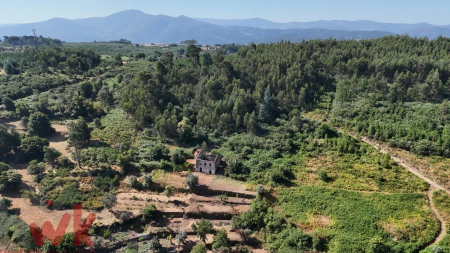 Moradia para Venda em Nogueira do Cravo Foto 21