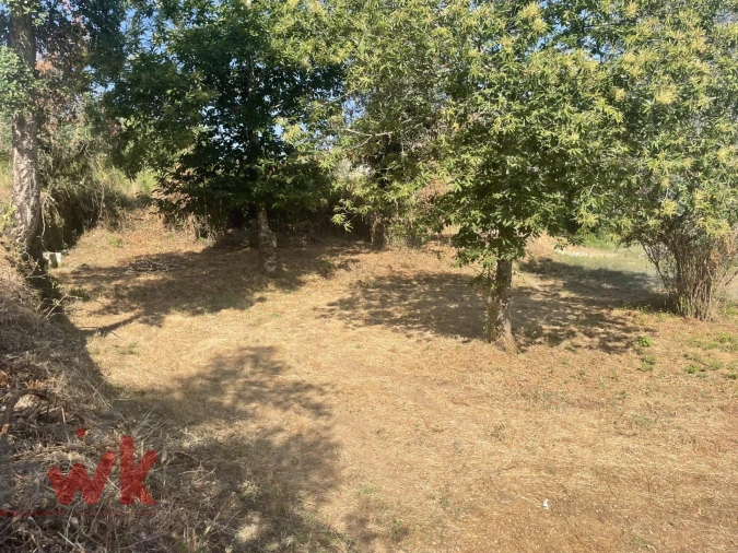 Moradia para Venda em Nogueira do Cravo Foto 24