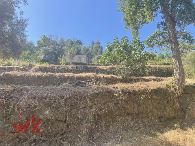 Moradia para Venda em Nogueira do Cravo Foto 28