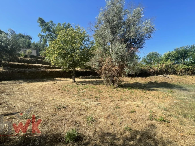 Moradia para Venda em Nogueira do Cravo Foto 31