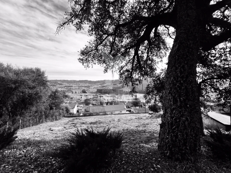 Terreno para Venda em Cruz Foto 2