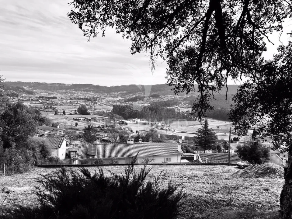 Terreno para Venda em Cruz Foto 1