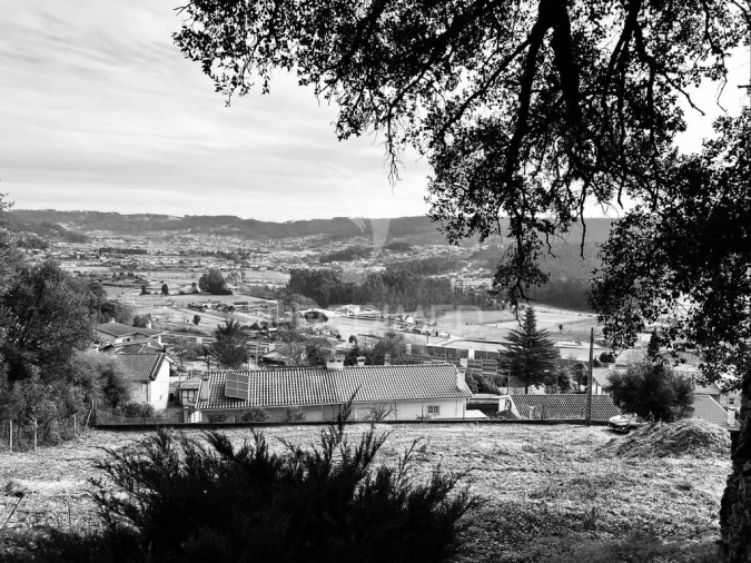Terreno para Venda em Cruz