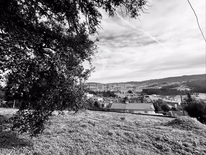 Terreno para Venda em Cruz Foto 3