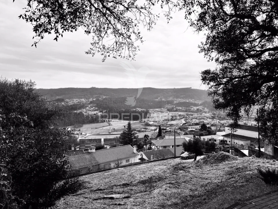 Terreno para Venda em Cruz Foto 4
