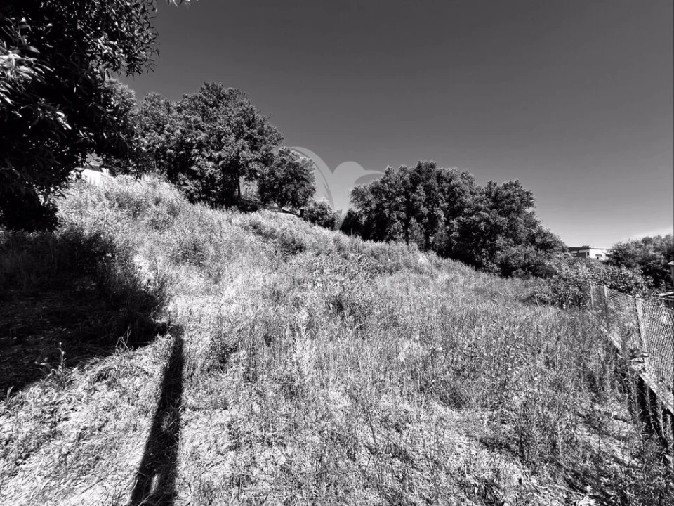 Terreno para Venda em Cruz Foto 5