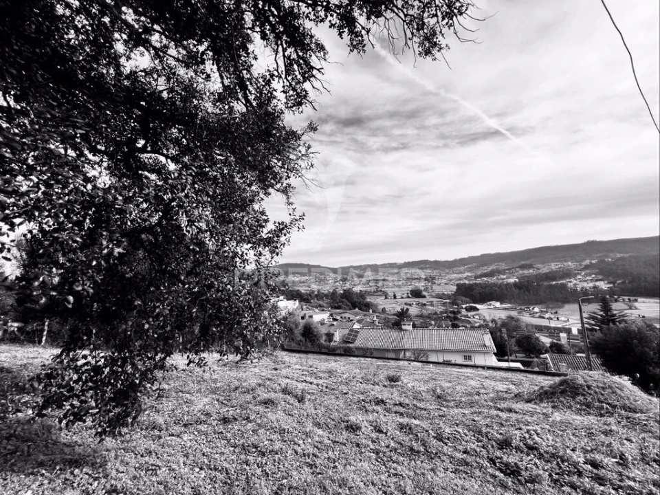 Terreno para Venda em Cruz Foto 3