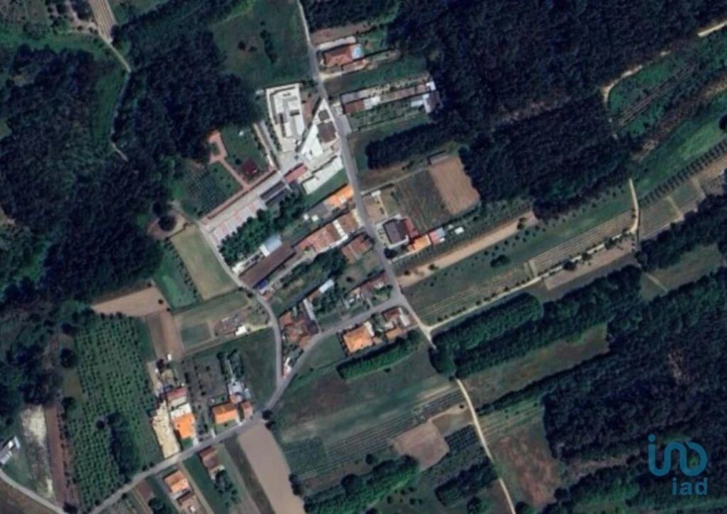 Terreno para Venda em Palhaça Foto 2