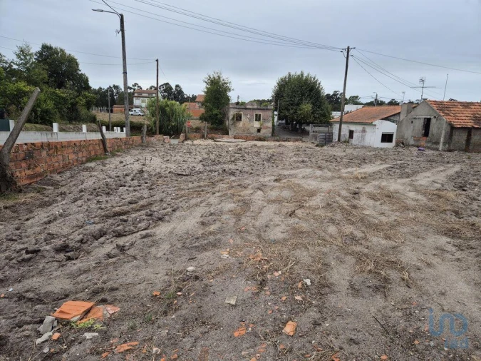 Terreno para Venda em Santo Andre de Vagos Foto 6