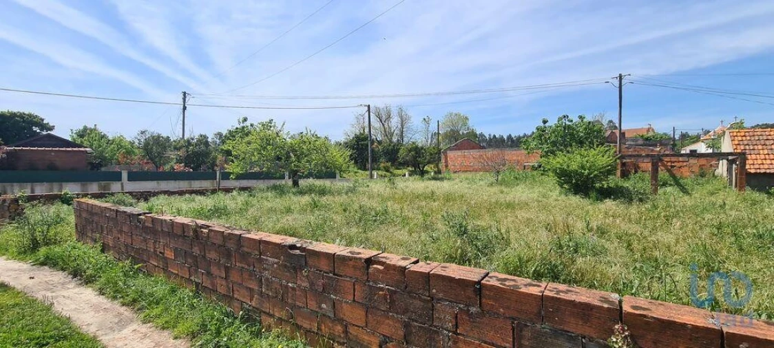 Terreno para Venda em Santo Andre de Vagos Foto 2