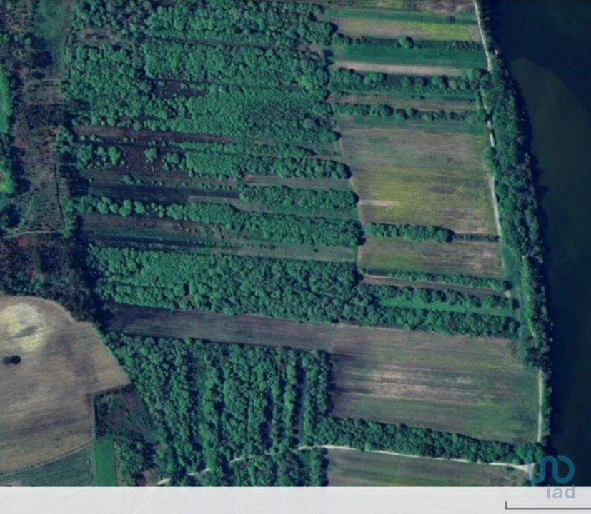 Terreno para Venda em Geraz do Lima (Santa Maria, Santa Leocádia, Moreira), Deão Foto 3