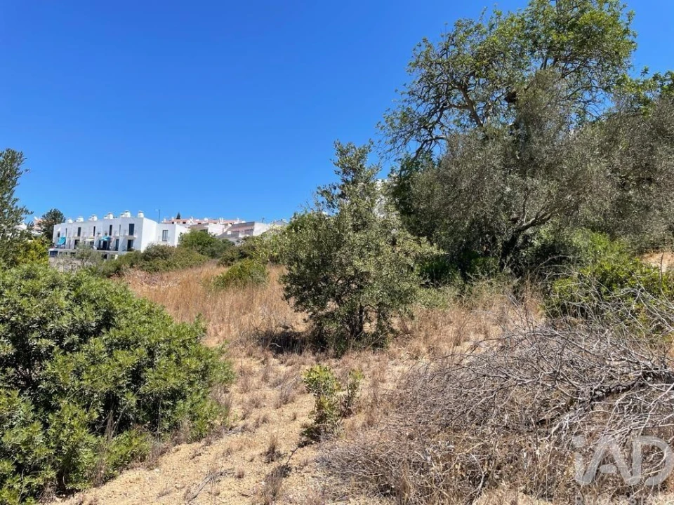 Terreno para Venda em Albufeira e Olhos de Água Foto 4