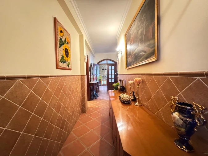 Quinta T3 para Venda em Beja (Santiago Maior e São João Baptista) Foto 23