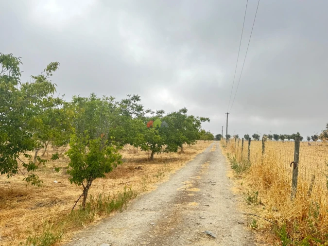 Quinta T3 para Venda em Beja (Santiago Maior e São João Baptista) Foto 1