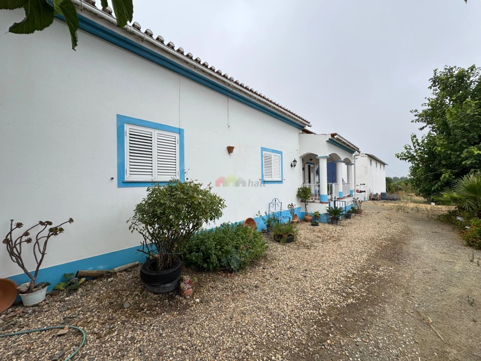 Quinta T3 para Venda em Beja (Santiago Maior e São João Baptista) Foto 4