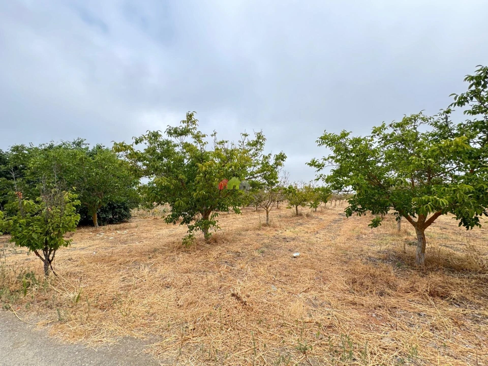 Quinta T3 para Venda em Beja (Santiago Maior e São João Baptista) Foto 2