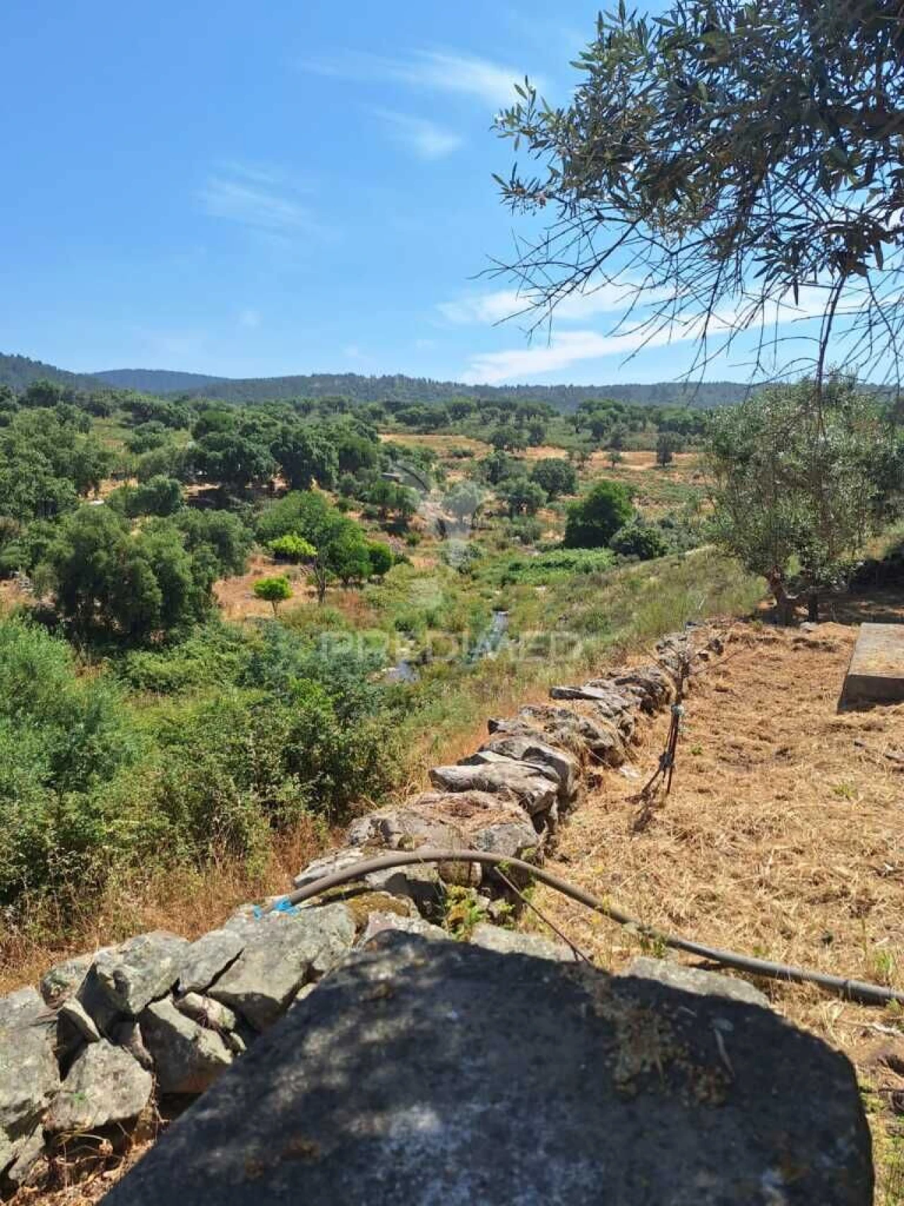 Moradia T1 para Venda em Urra Foto 10