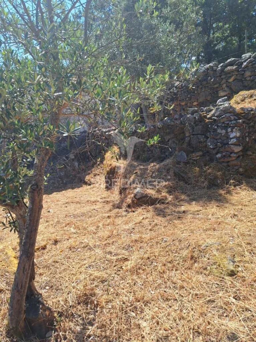 Moradia T1 para Venda em Urra Foto 13