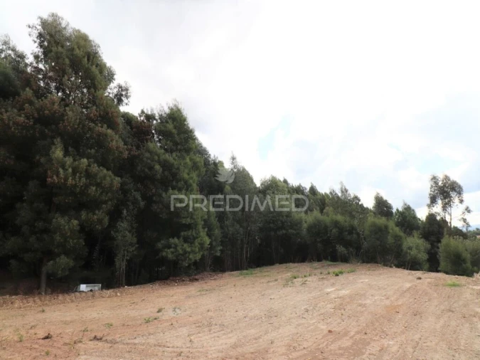 Terreno para Venda em Fânzeres e São Pedro da Cova Foto 4