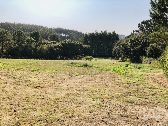 Moradia T3 para Venda em Carvalhal Benfeito Foto 24