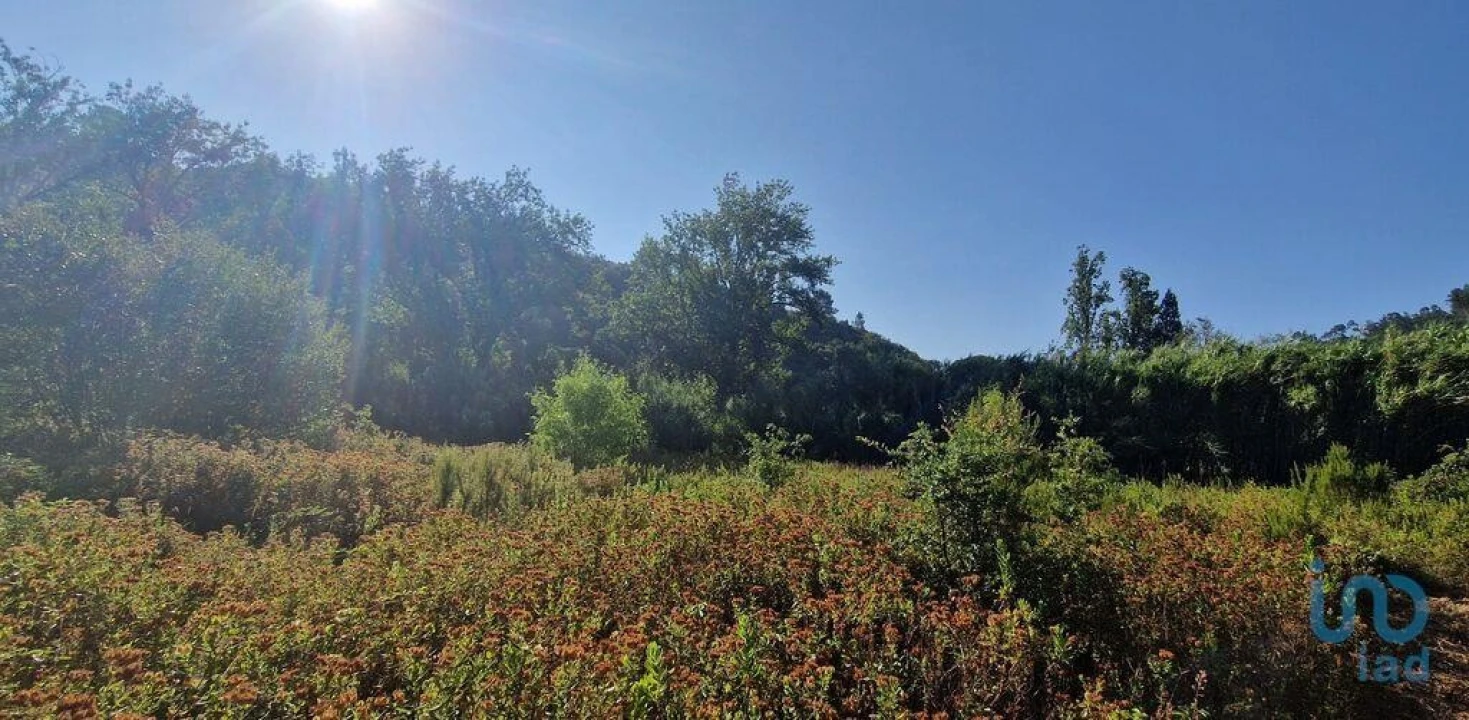 Terreno para Venda em Azueira e Sobral da Abelheira Foto 2