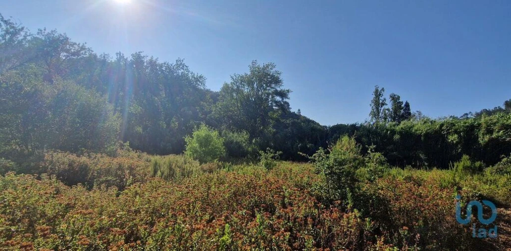 Terreno para Venda em Azueira e Sobral da Abelheira Foto 2
