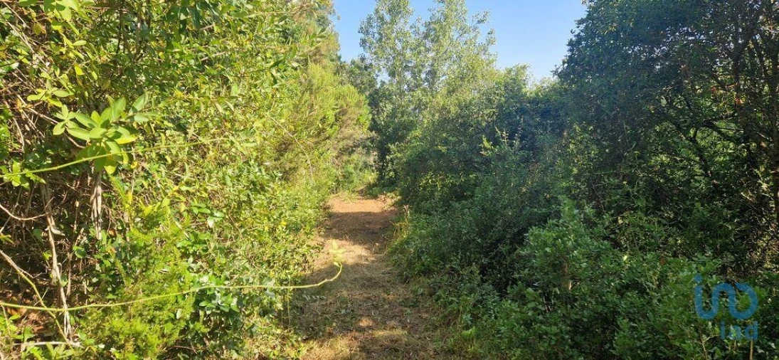 Terreno para Venda em Azueira e Sobral da Abelheira Foto 10