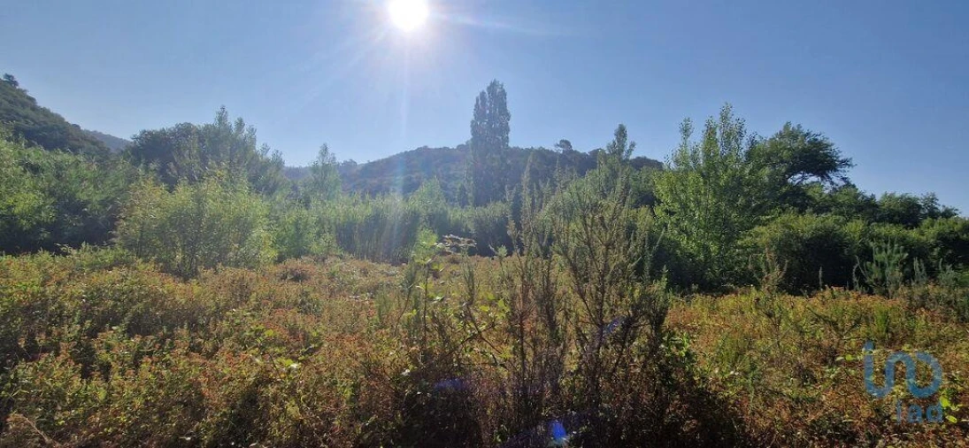 Terreno para Venda em Azueira e Sobral da Abelheira