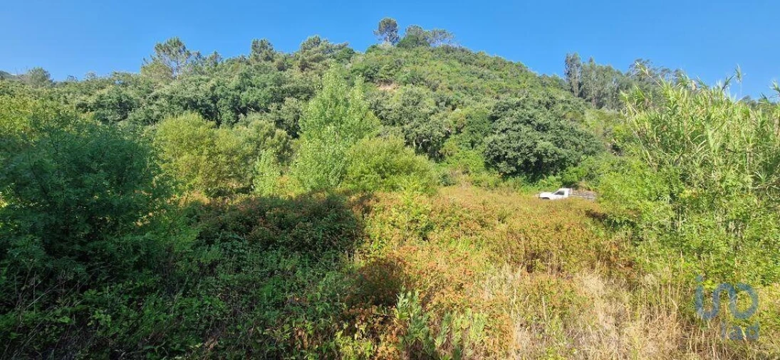 Terreno para Venda em Azueira e Sobral da Abelheira Foto 7