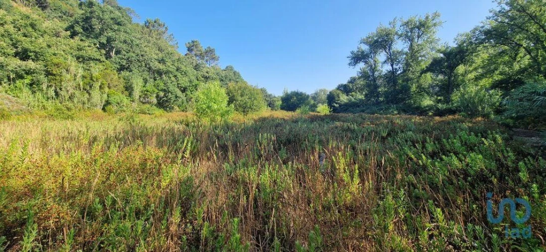 Terreno para Venda em Azueira e Sobral da Abelheira Foto 3
