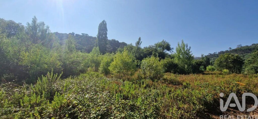 Terreno para Venda em Azueira e Sobral da Abelheira Foto 15