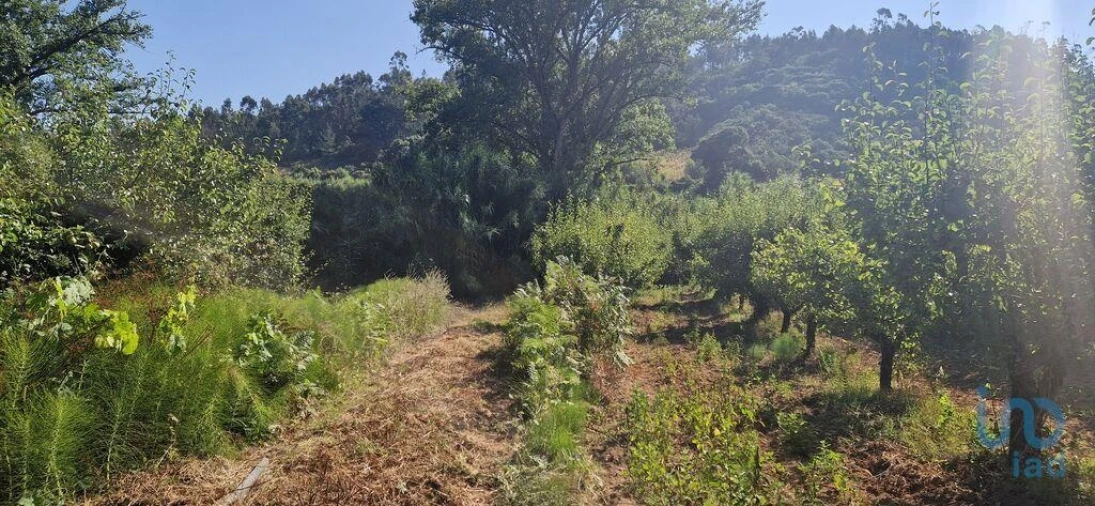 Terreno para Venda em Azueira e Sobral da Abelheira Foto 11