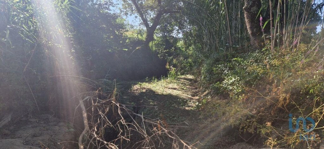 Terreno para Venda em Azueira e Sobral da Abelheira Foto 14